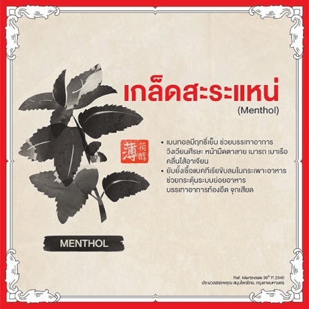 บาล์มขาว เซียงเพียว ขนาด 12 กรัม จำนวน 48 ชิ้น_3